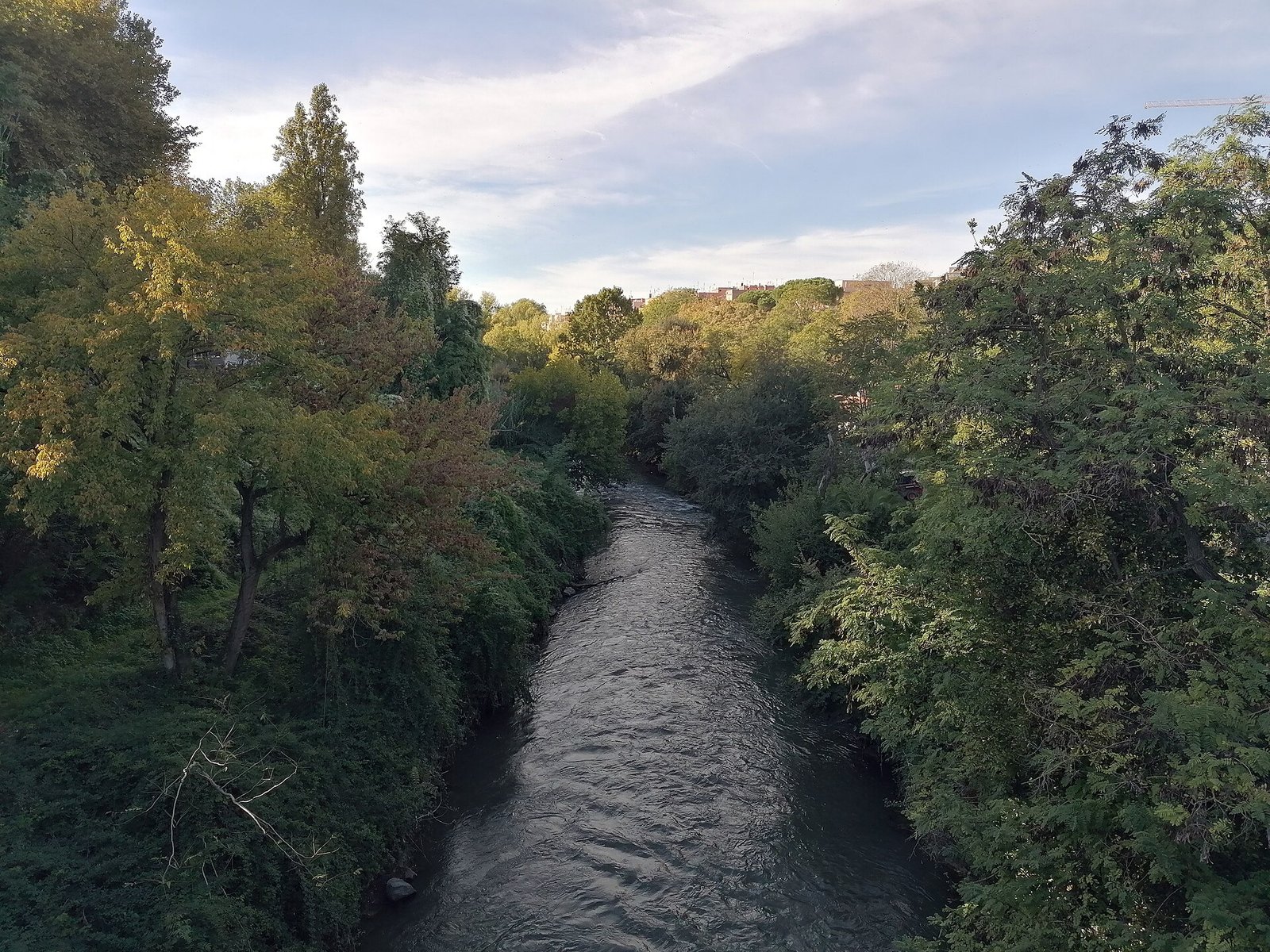 Il fiume Aniene nel parco omonimo a Roma