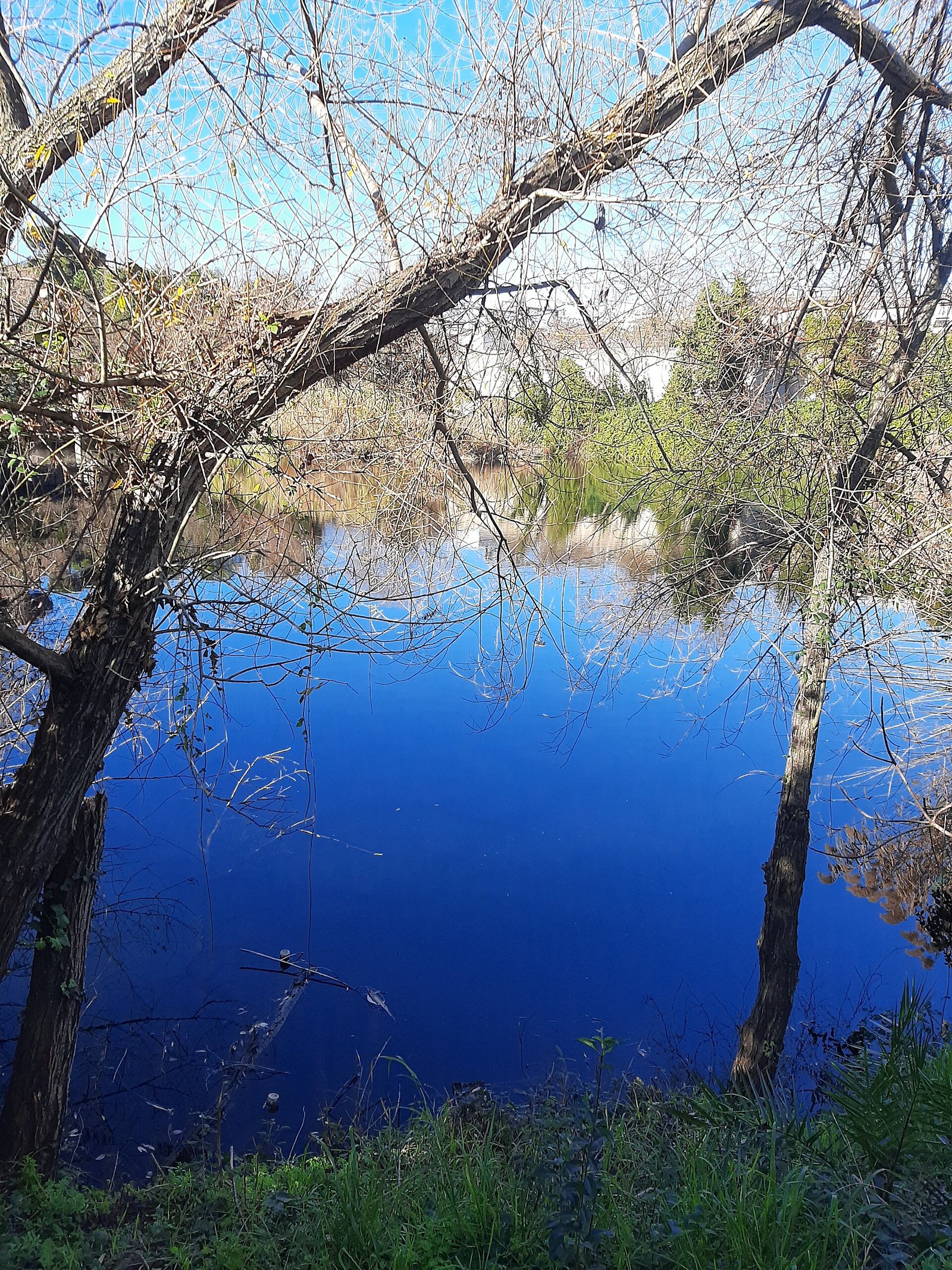 Il lago dell ex SNIA Viscosa nel quartiere Prenestino