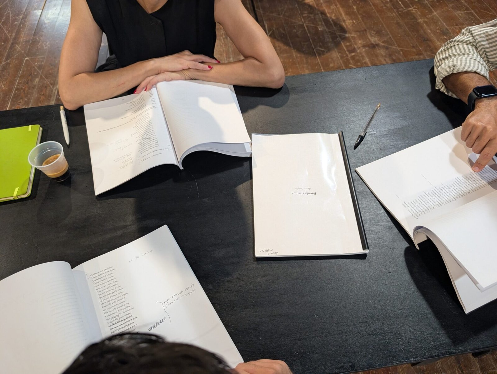 Favola sismica, studio a cura di Fabiana Iacozzilli