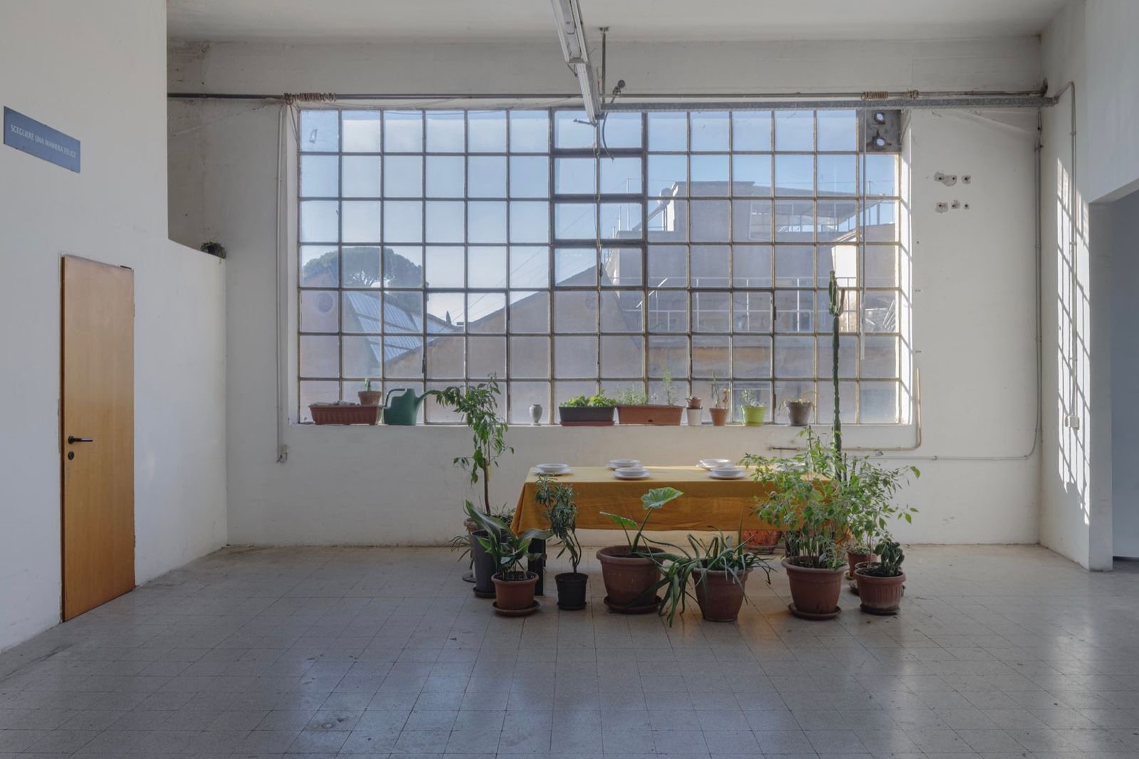 Lo studio Paese fortuna nell'ex Lanificio Luciani di via di Pietralata