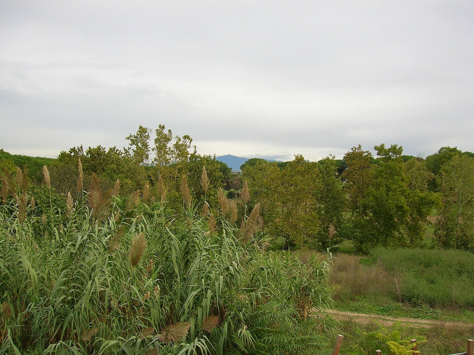 Il parco urbano di Aguzzano, nel quadrante est di Roma