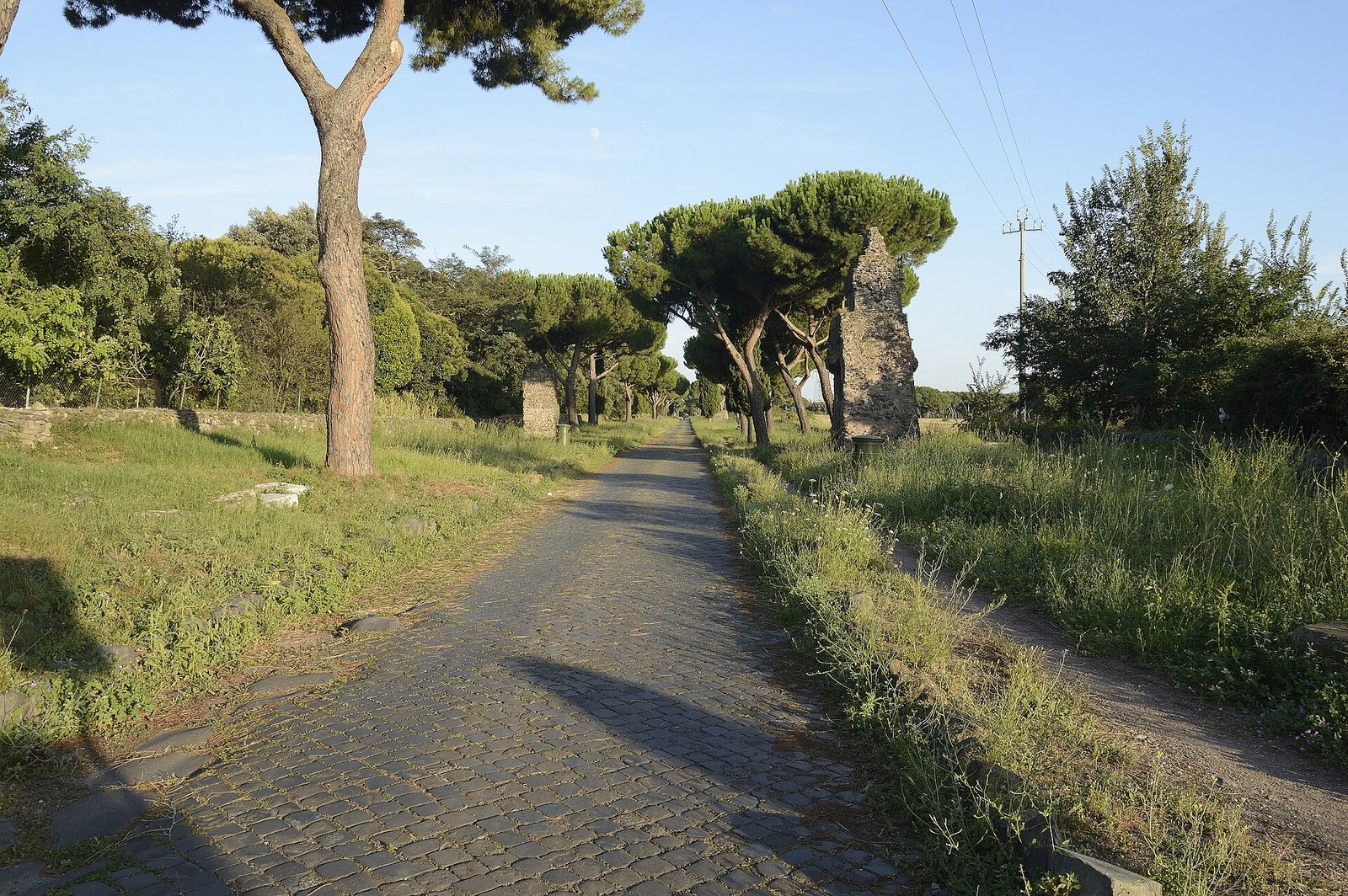 Basolato romano della via Appia Antica fra i pini