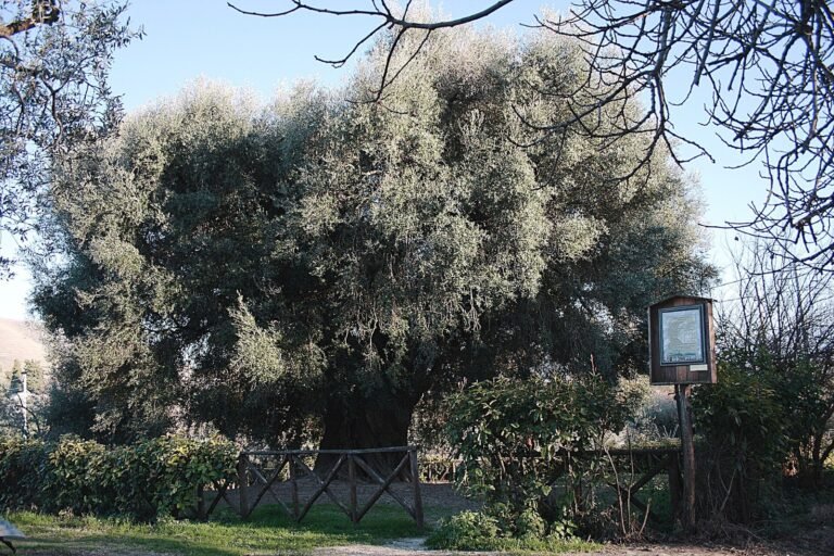 I consigli di EstateRomana 59