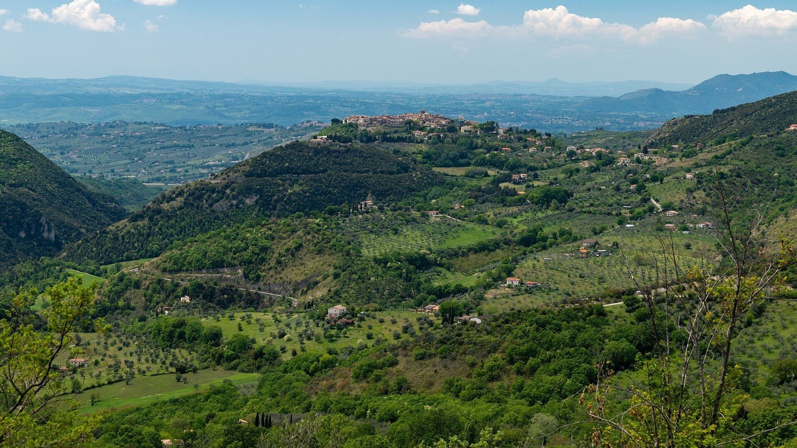 Veduta di Mompeo, borgo sulla collina tra gli uliveti della Sabina