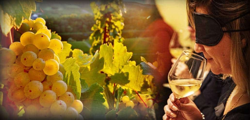 L'immagine ufficiale della degustazione alla cieca Il Riesling, Blind Date col Sommelier