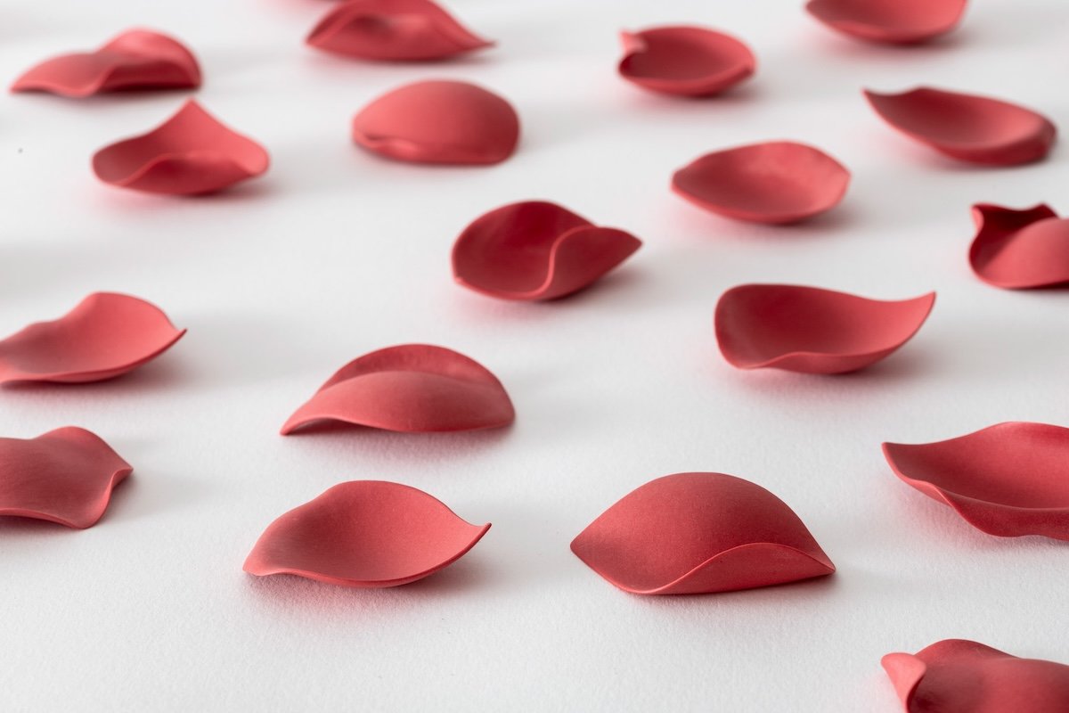 Scarlet by Emanuela Mastria at blowart contemporary space, October 8, 2026 to January 17, 2027 2 Emanuela Mastria, Scarlet, 2026, red porcelain petals