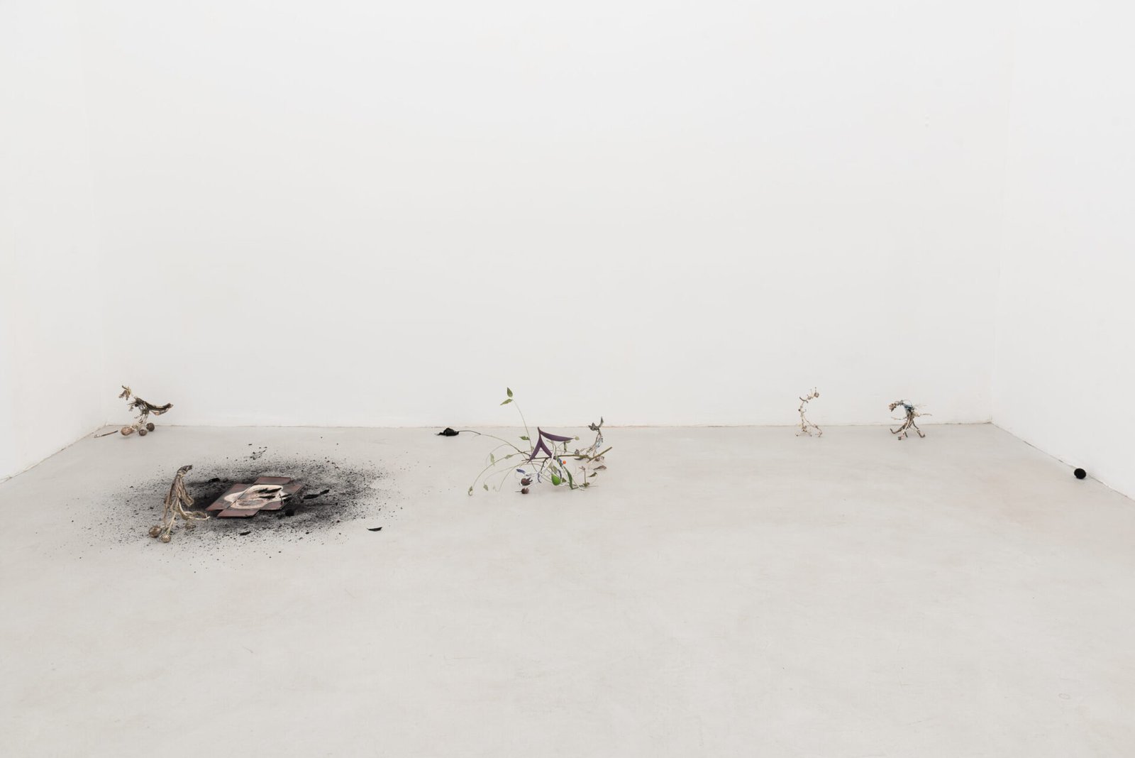 Daphne, Act Two di Umico Niwa alla galleria T293 di Roma
