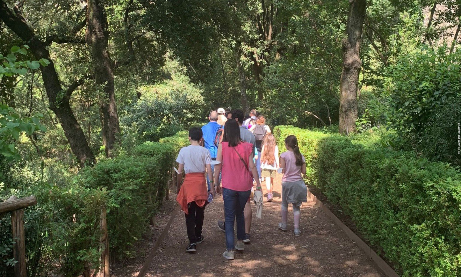 Visita con il Direttore a Villa Gregoriana (15 novembre)